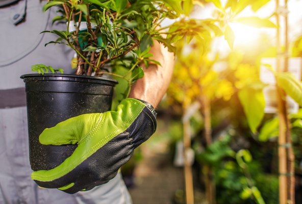 The Advantages Of Using Garden Containers: A Comprehensive Guide